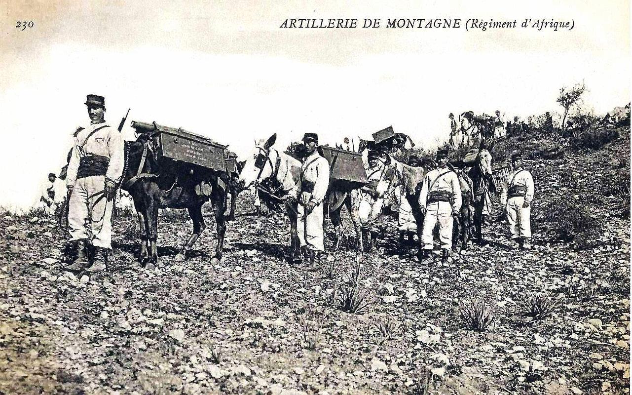 1789- Algerie - Artillerie de montagne.jpg